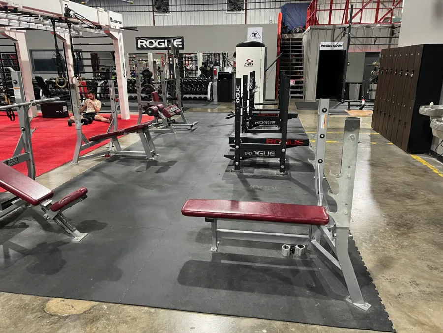 Gym equipment at True Performance Fitness
